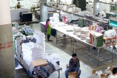 Finishing Packing Section