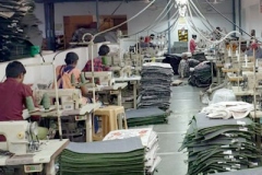 Stitching Lines