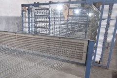 Warping Section